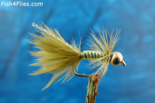 Fish4Flies Goldhead Damsel Nymph